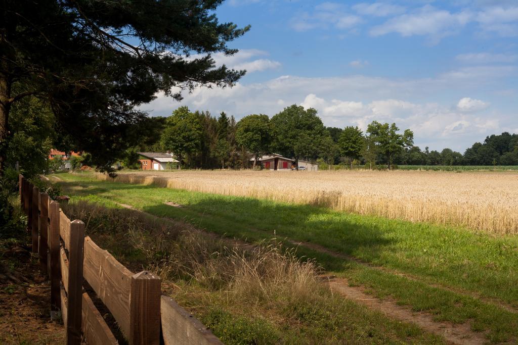 Vila Ferienhaus Heideland Winsen Aller Meißendorf Pokoj fotografie