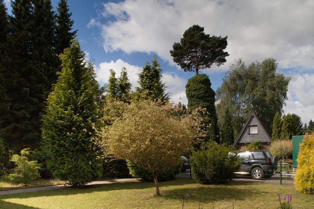 Vila Ferienhaus Heideland Winsen Aller Meißendorf Pokoj fotografie