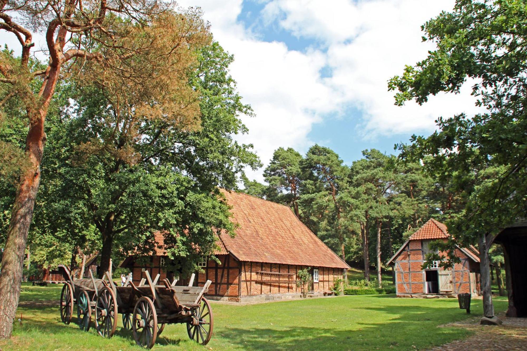 Vila Ferienhaus Heideland Winsen Aller Meißendorf Exteriér fotografie